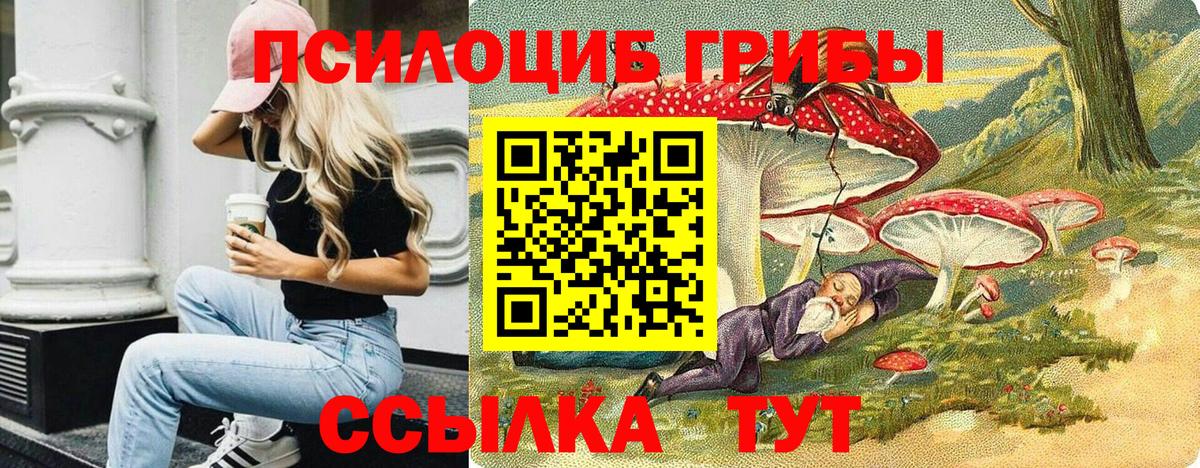 Псилоцибиновые грибы Magic Shrooms  Вход с VPN  Псилоцибиновые грибы GOLDEN TEACHER  Каменск-Уральский 